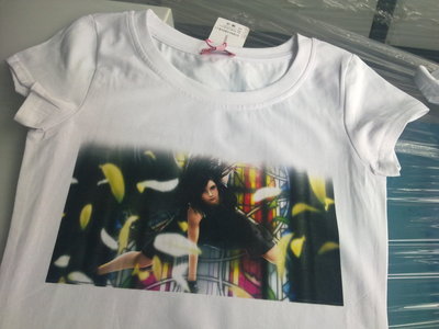 【北京供應諾彩深色高檔服裝數碼直噴打印機】價格,廠家,圖片,數碼印刷機/萬能打印機,廣州諾彩數碼產品-