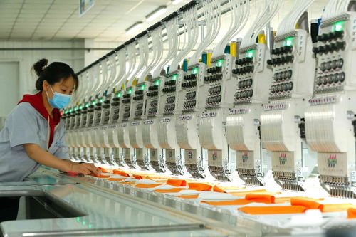 出口訂單多 企業(yè)生產忙